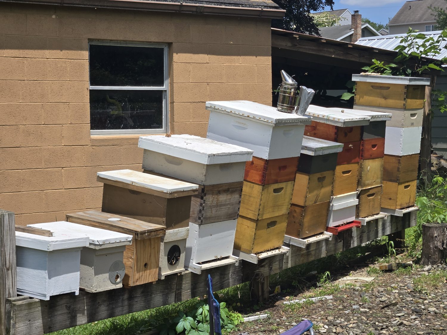Been's Bees apiary in Hummelstown PA — multiple hives in active operation
