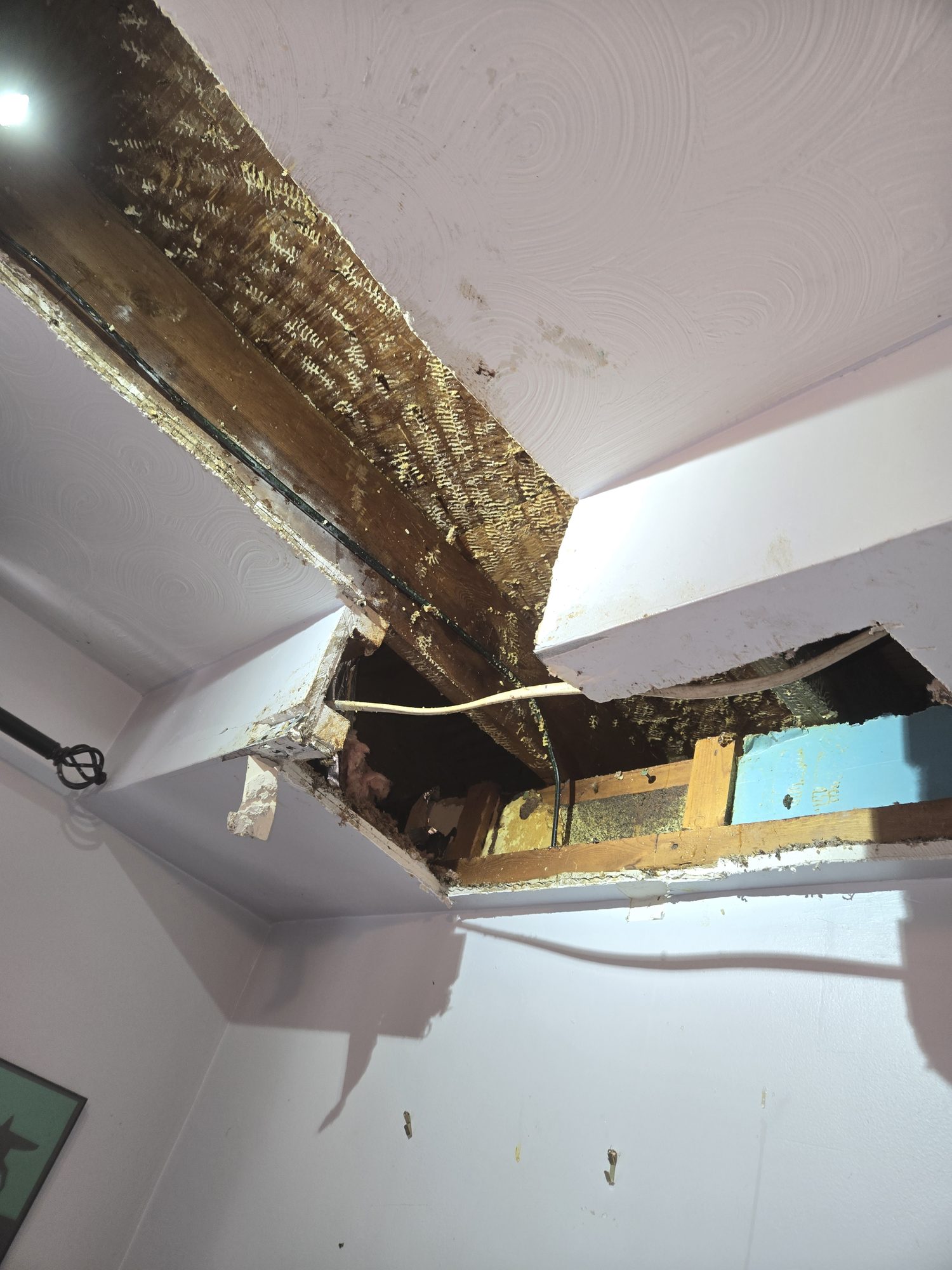 Bedroom wall cavity after Been's Bees completed a live honey bee removal — comb extracted, structure cleaned, ready for the homeowner's contractor to seal