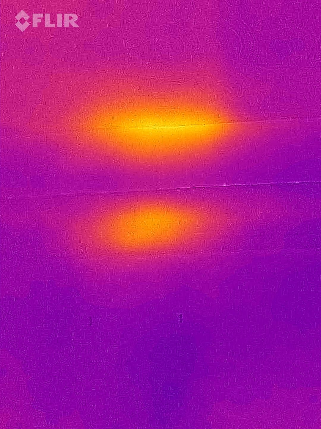 FLIR thermal camera image showing two distinct heat signatures behind a Central PA bedroom wall — Been's Bees diagnostic scan revealing a hidden honey bee colony