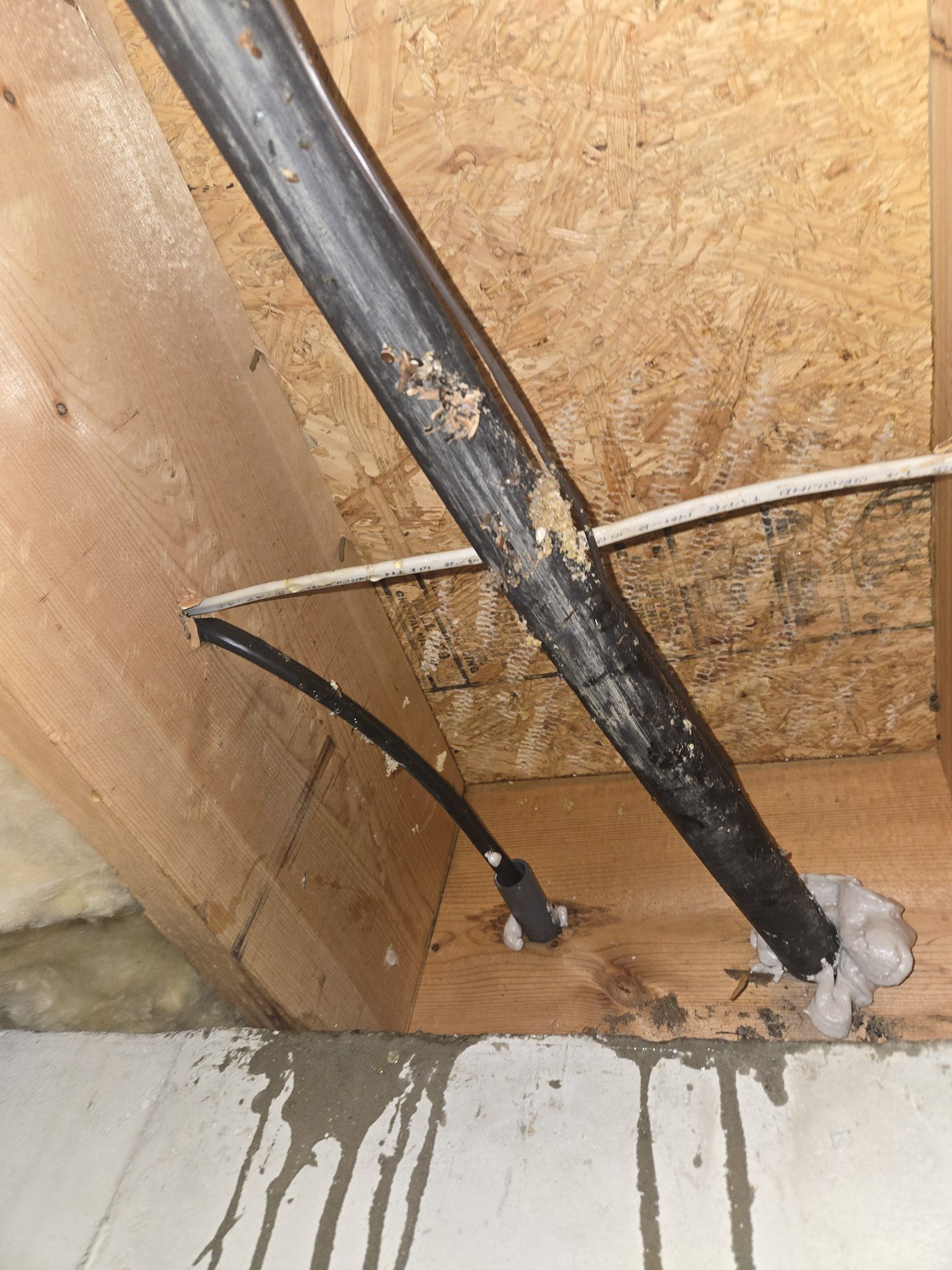 Same drop-ceiling cavity after Been's Bees completed live honeybee removal: comb extracted, structure cleaned