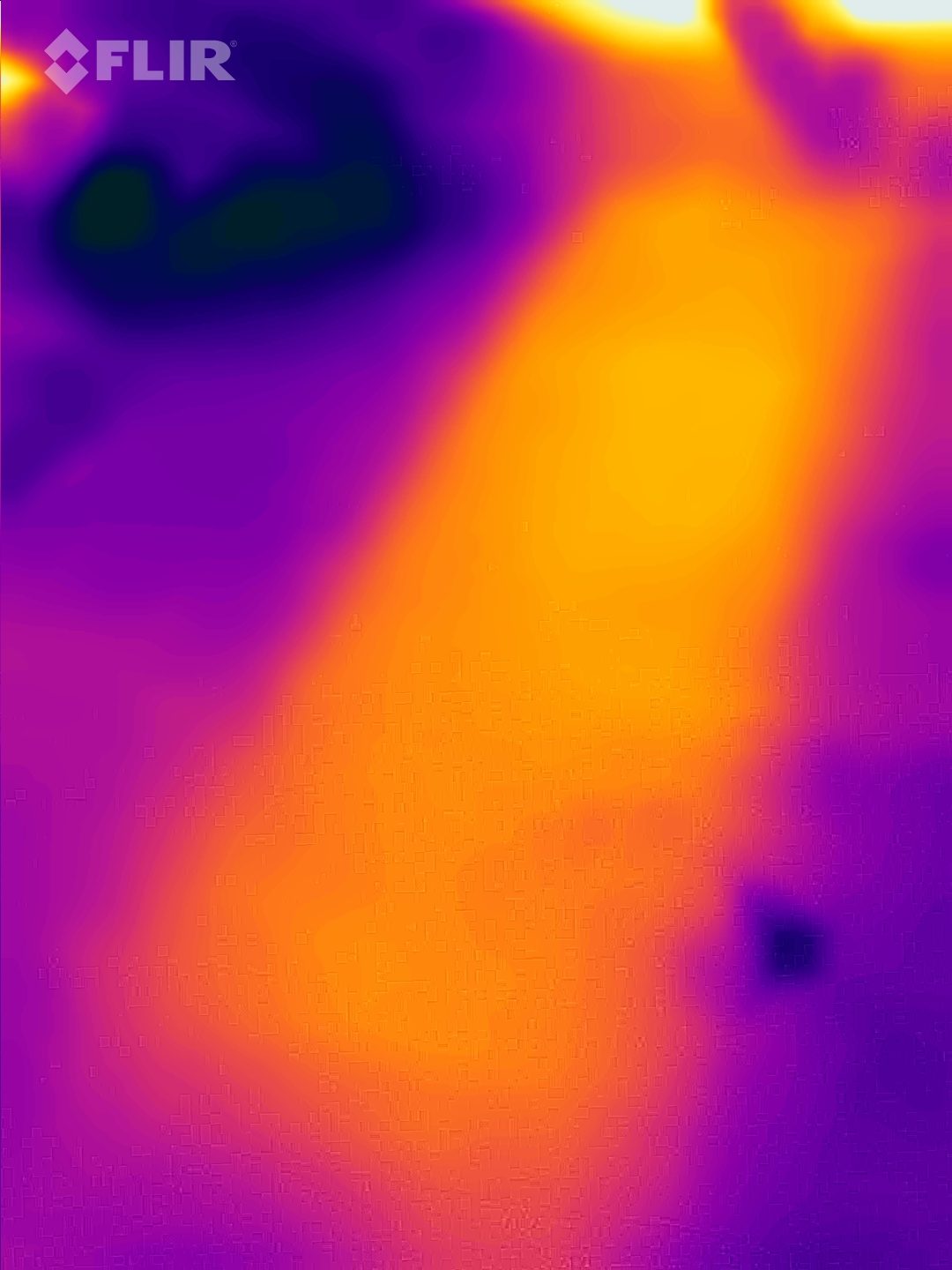 FLIR thermal image of the same crawlspace wall, showing a clear heat signature where a honeybee colony lives behind the boards