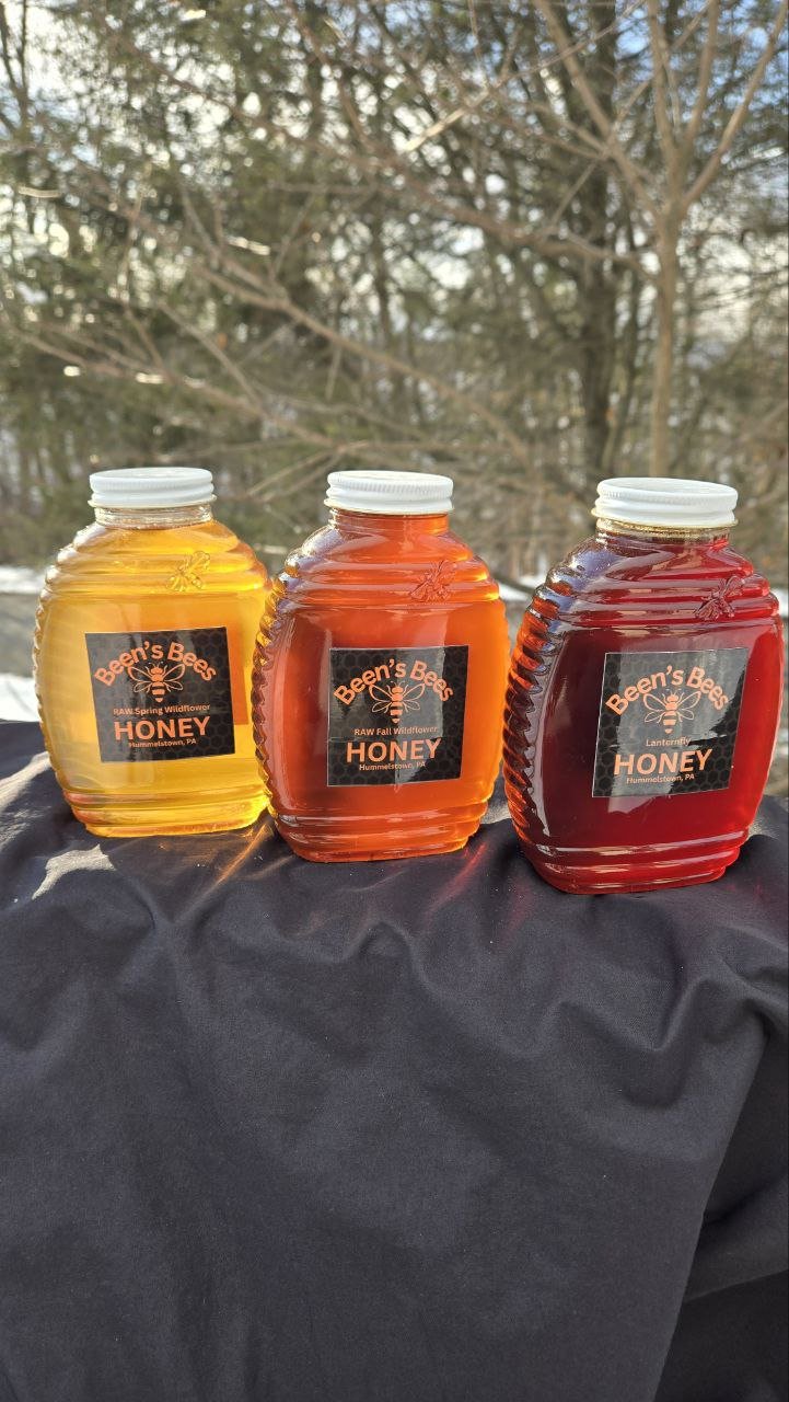 Spring, fall, and lanternfly raw honey from Been's Bees