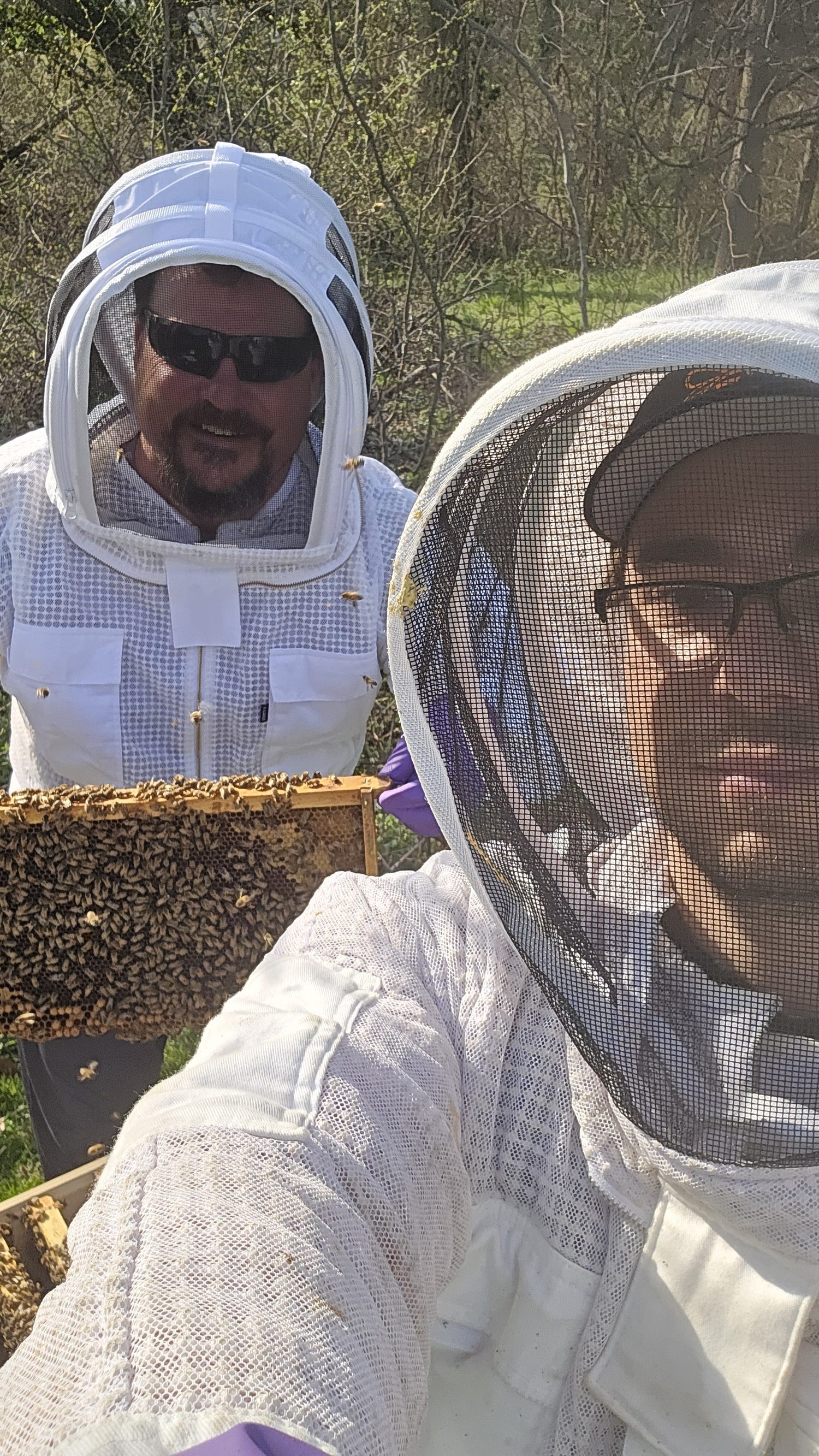 Justin Jacobeen of Been's Bees inspecting a frame of bees with a student during a beekeeping mentorship session